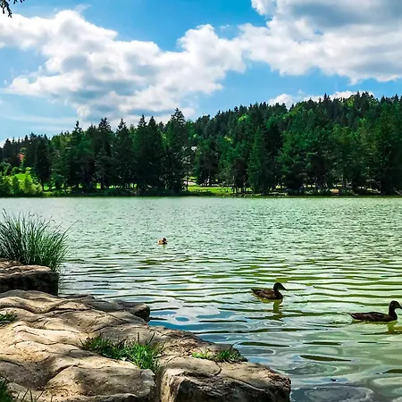 Lavric Apartman Velike Bloke