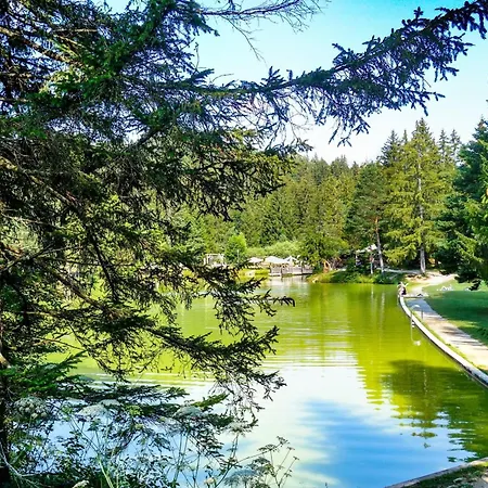 Lavric * Velike Bloke