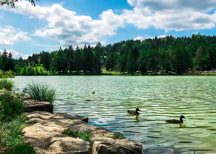 Lavric Appartamento Velike Bloke