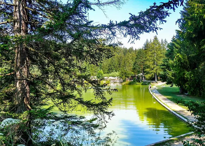 Lavric * Velike Bloke